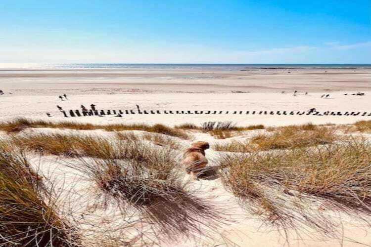 Villa 5 pièces Berck-sur-Mer, jardin et pet-friendly - Photo 38