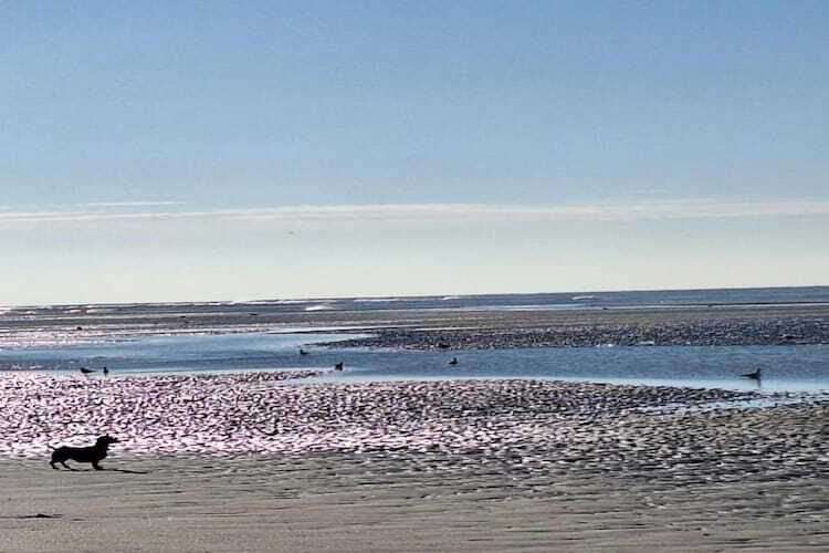 Villa 5 pièces Berck-sur-Mer, jardin et pet-friendly - Photo 39