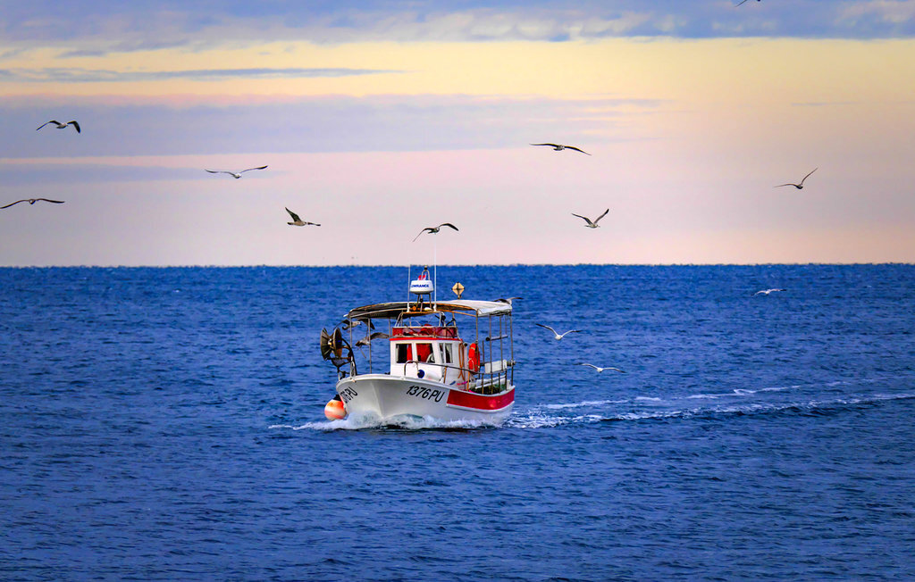 Maison 8 personnes à Rosolini - Photo 31