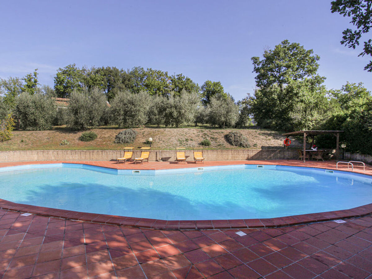 La Villetta – Gîte 4 pers. avec piscine à Riparbella - Photo 3