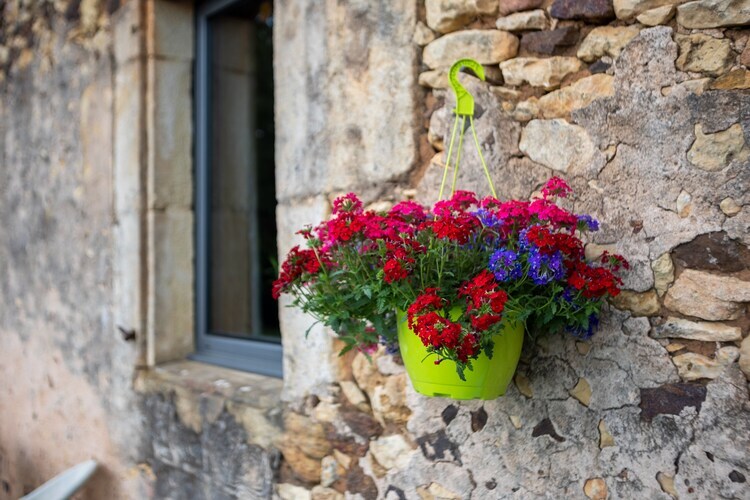 La Maison aux Hirondelles, pierre restaurée en Dordogne - Photo 36