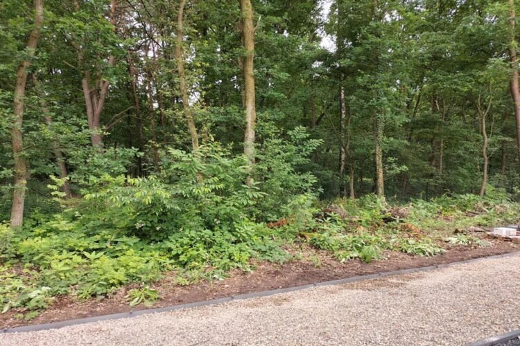 De Appelgaard : maison 8 chambres pour 18 personnes - Photo 41