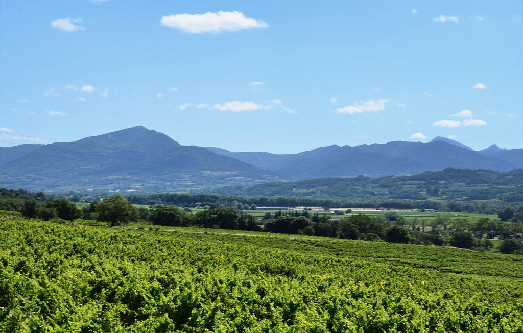 Maison de campagne avec piscine à Vinsobres - Photo 22
