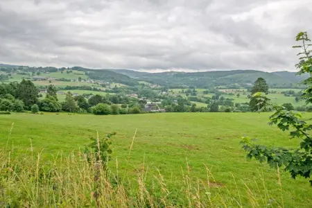 Gîte 4 adultes à Stavelot, animaux et forêt à 1 km : photo 29