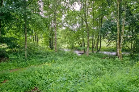 Gîte 4 adultes à Stavelot, animaux et forêt à 1 km : photo 30