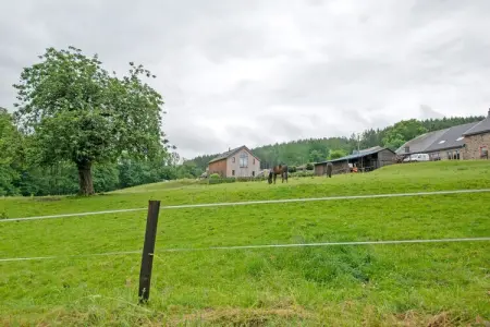 Gîte 4 adultes à Stavelot, animaux et forêt à 1 km : photo 31