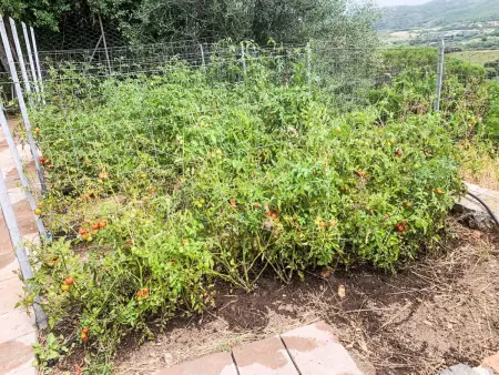 La Tordara – Maison rénovée 6 pers. à Monte Argentario - Photo 56