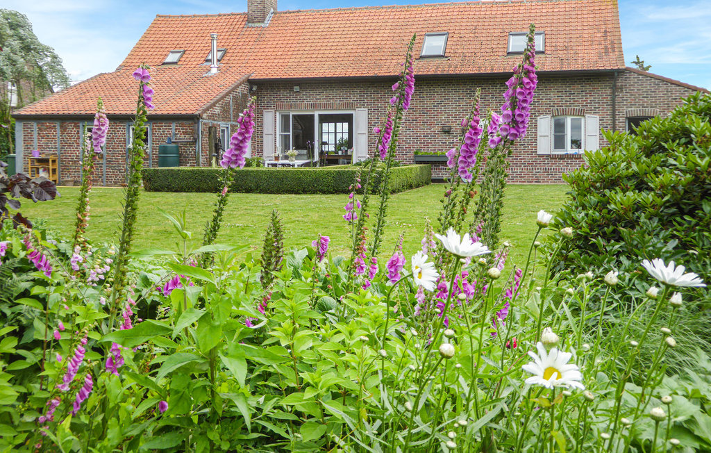 Maison 6 personnes à Kemmel, grand jardin de 5500 m² - Photo 9