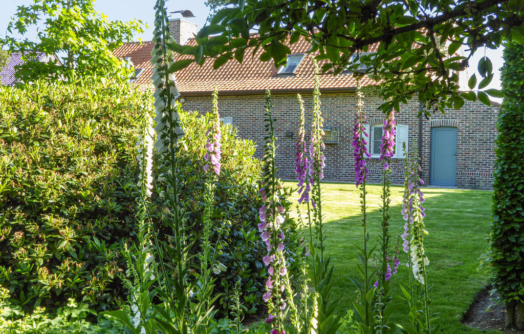 Maison 6 personnes à Kemmel, grand jardin de 5500 m² - Photo 14