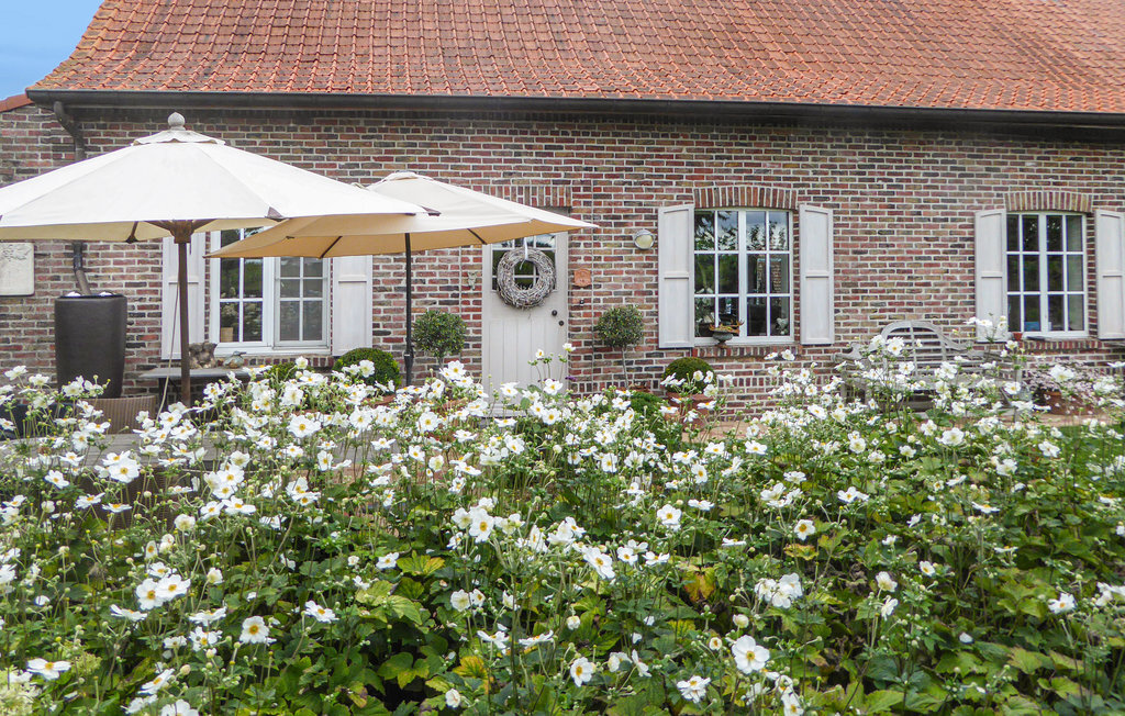 Maison 6 personnes à Kemmel, grand jardin de 5500 m² - Photo 20