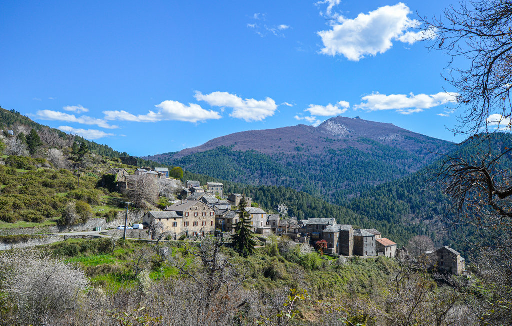 Maison 130 m² Morosaglia, vue panoramique montagne - Photo 12