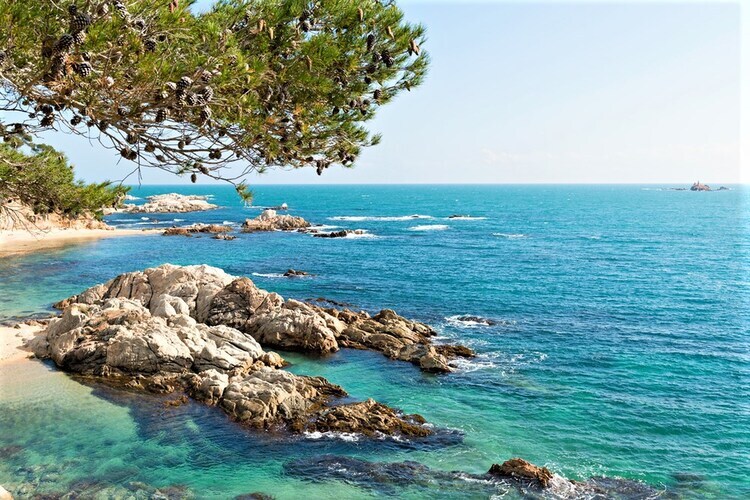 Ca la Yoli – Maison 6 pers. à 500 m de la mer - Photo 35