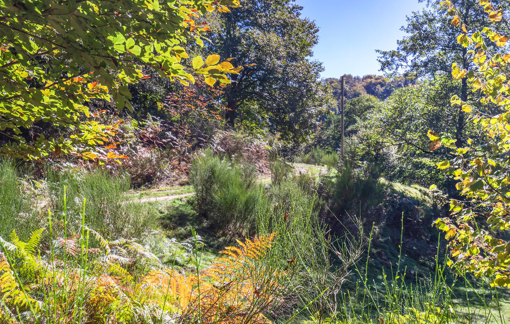 Maison rustique 25m² avec source naturelle à Artò - Photo 19