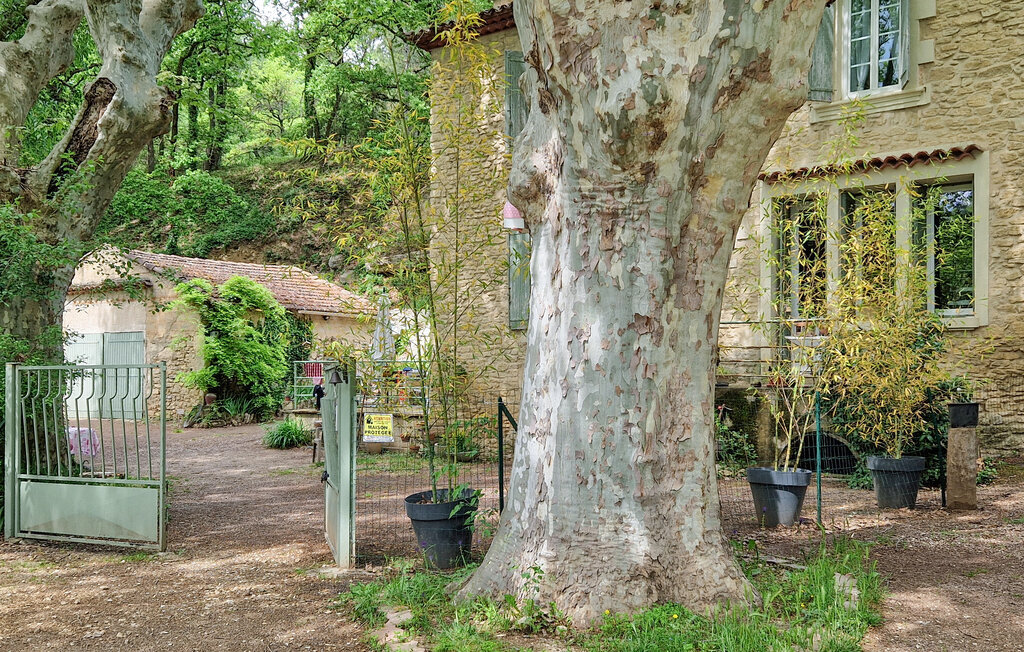 Ancien moulin avec piscine au cœur du Luberon - Photo 21