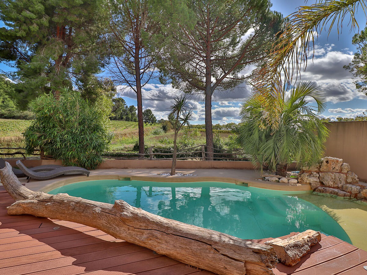 Maison La Pinède avec piscine à Thézan-les-Béziers - Photo 4