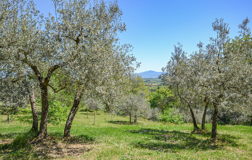 Maison 4 personnes à Monte San Savino - Photo 22