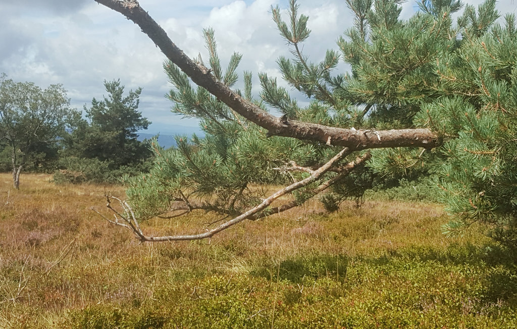 La Féculerie, maison 6 pers. au bord du ruisseau - Photo 23