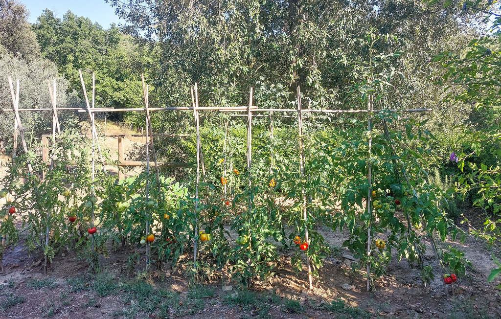 Maison 5 personnes à Massa Martana - Photo 27