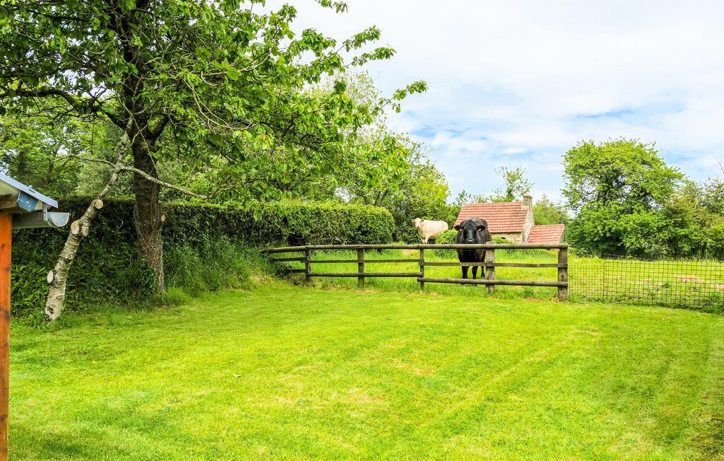 Maison ancienne 110 m², 5 pers., jardin Cotentin - Photo 14