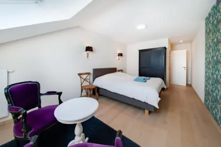 Romulus – Maison 20 personnes, 8 chambres près des Ardennes : photo 14