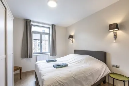 Romulus – Maison 20 personnes, 8 chambres près des Ardennes : photo 24