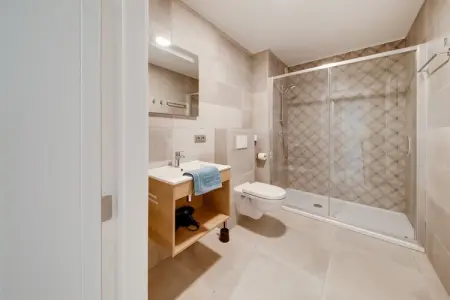 Romulus – Maison 20 personnes, 8 chambres près des Ardennes : photo 26