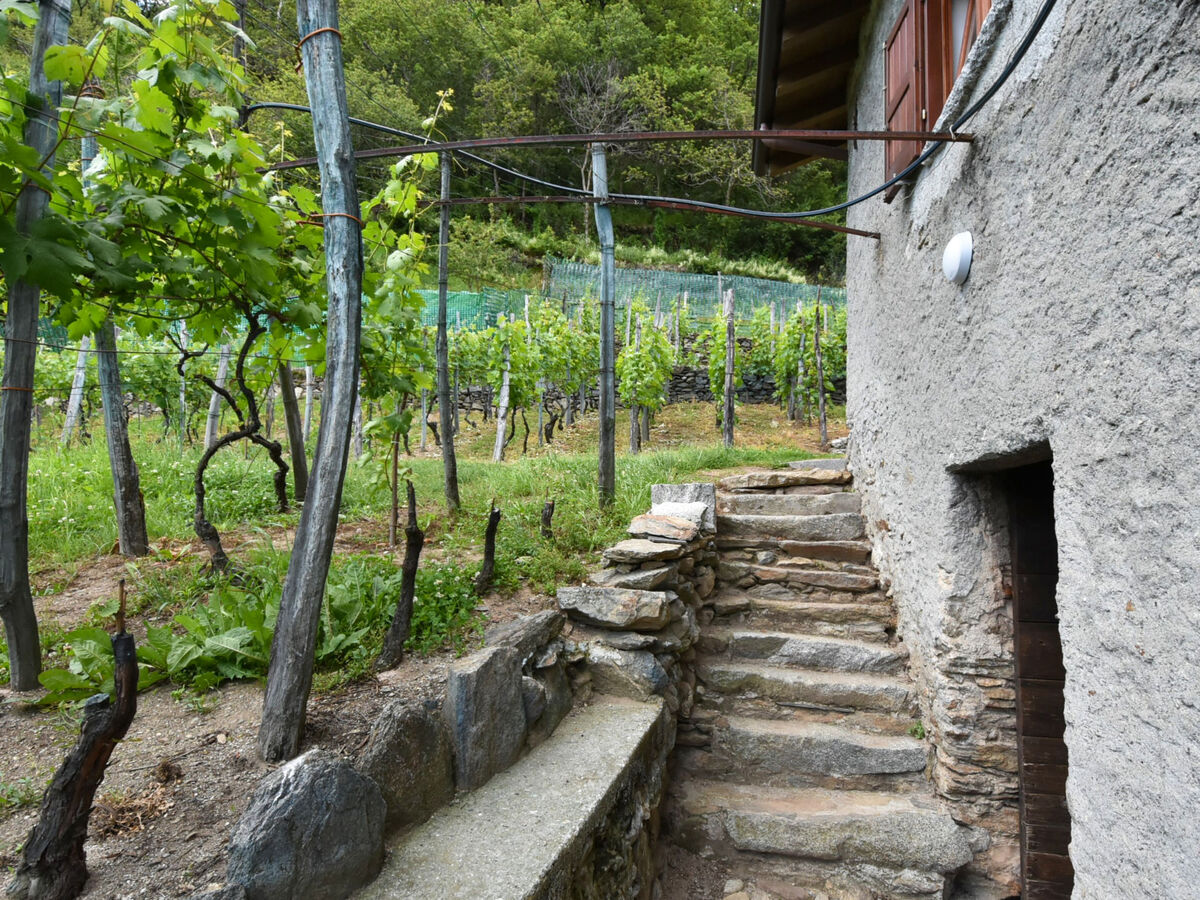 Rustico Rebustella – Chalet rénové en Valtellina - Photo 20