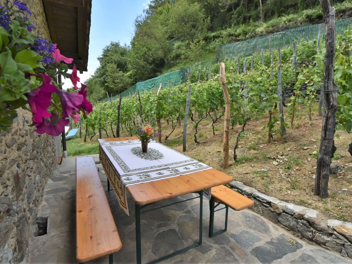 Rustico Rebustella – Chalet rénové en Valtellina - Photo 23