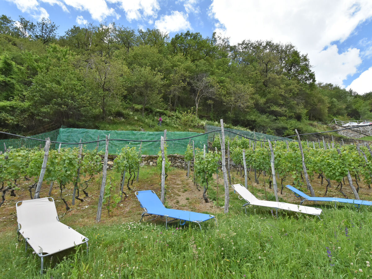 Rustico Rebustella – Chalet rénové en Valtellina - Photo 28
