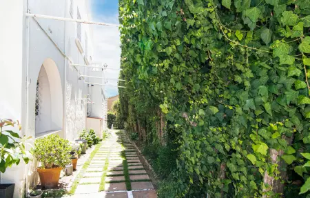 Maison 5 chambres avec piscine et vue mer à Alella : photo 15