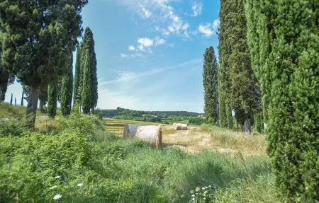 Maison 4 personnes à Montefoscoli - Photo 16