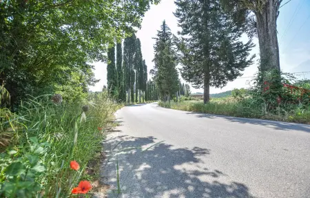Maison 4 personnes à Montefoscoli - Photo 18