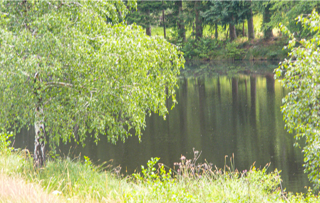 Maison 8 pers. avec piscine et lac en Périgord Limousin - Photo 13