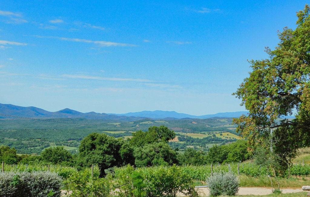 Maison 8 personnes avec jardin privé à Civitella Marittima - Photo 13