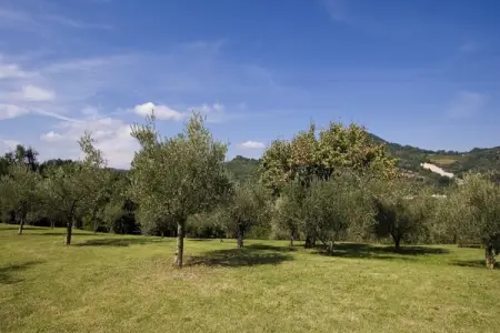Ovello – Maison 7 chambres avec piscine à Brisighella : photo 29