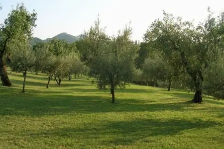 Ovello – Maison 7 chambres avec piscine à Brisighella : photo 32