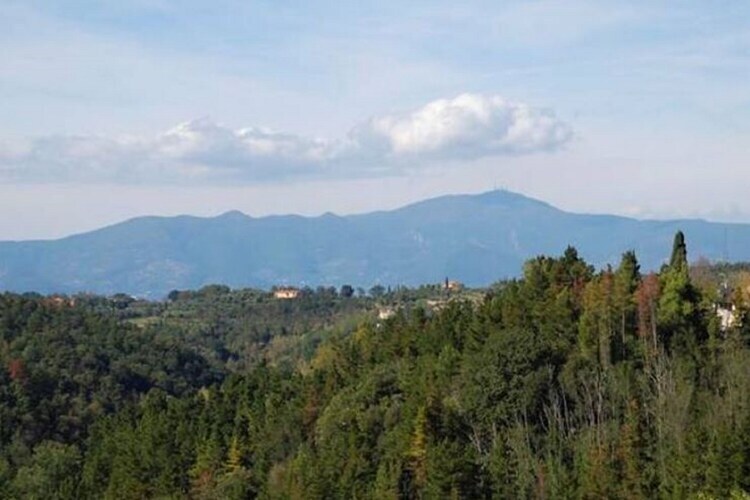 Podere Torre – Villa 12 pers, piscine & jardin clos en Toscane - Photo 38