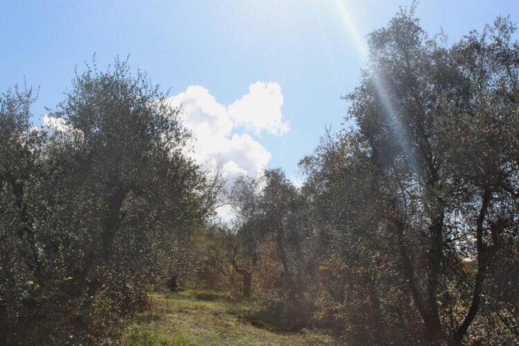 Podere Torre – Villa 12 pers, piscine & jardin clos en Toscane - Photo 39