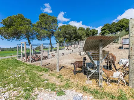 Il Fienile, gîte 8 personnes à Bibbona, piscine privée - Photo 69