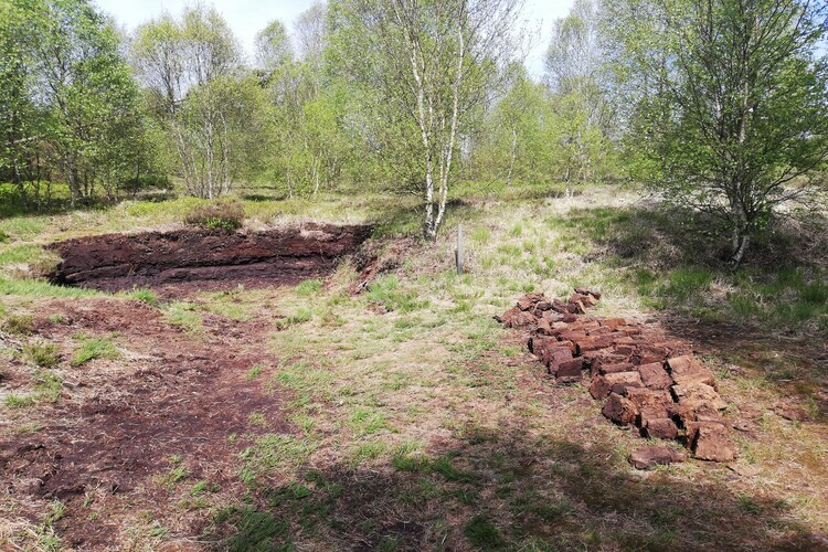 Maison champêtre Sourbrodt, aux portes des Hautes Fagnes - Photo 37