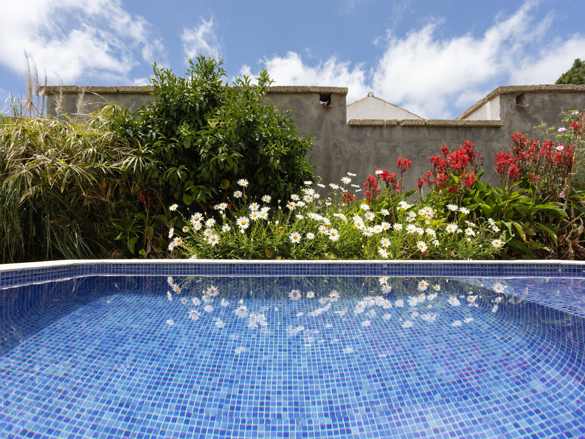 Gîte Jorge avec piscine et vue mer à El Rosario - Photo 13