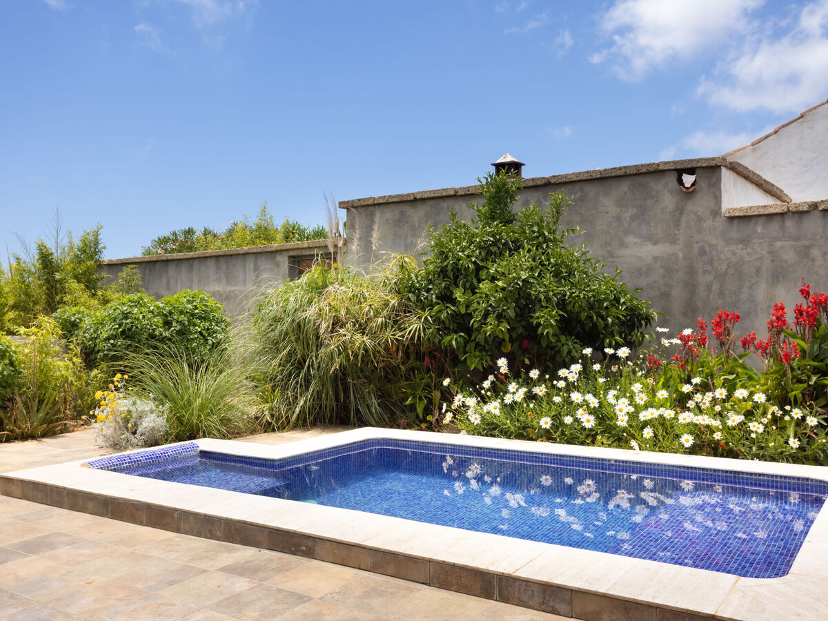 Gîte Jorge avec piscine et vue mer à El Rosario - Photo 14