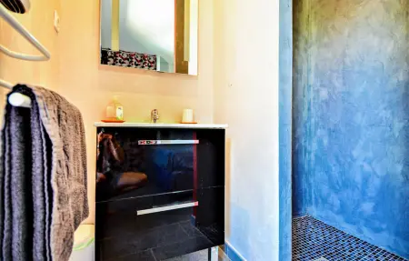 Maison 4 chambres avec piscine privée près d'Avignon : photo 23