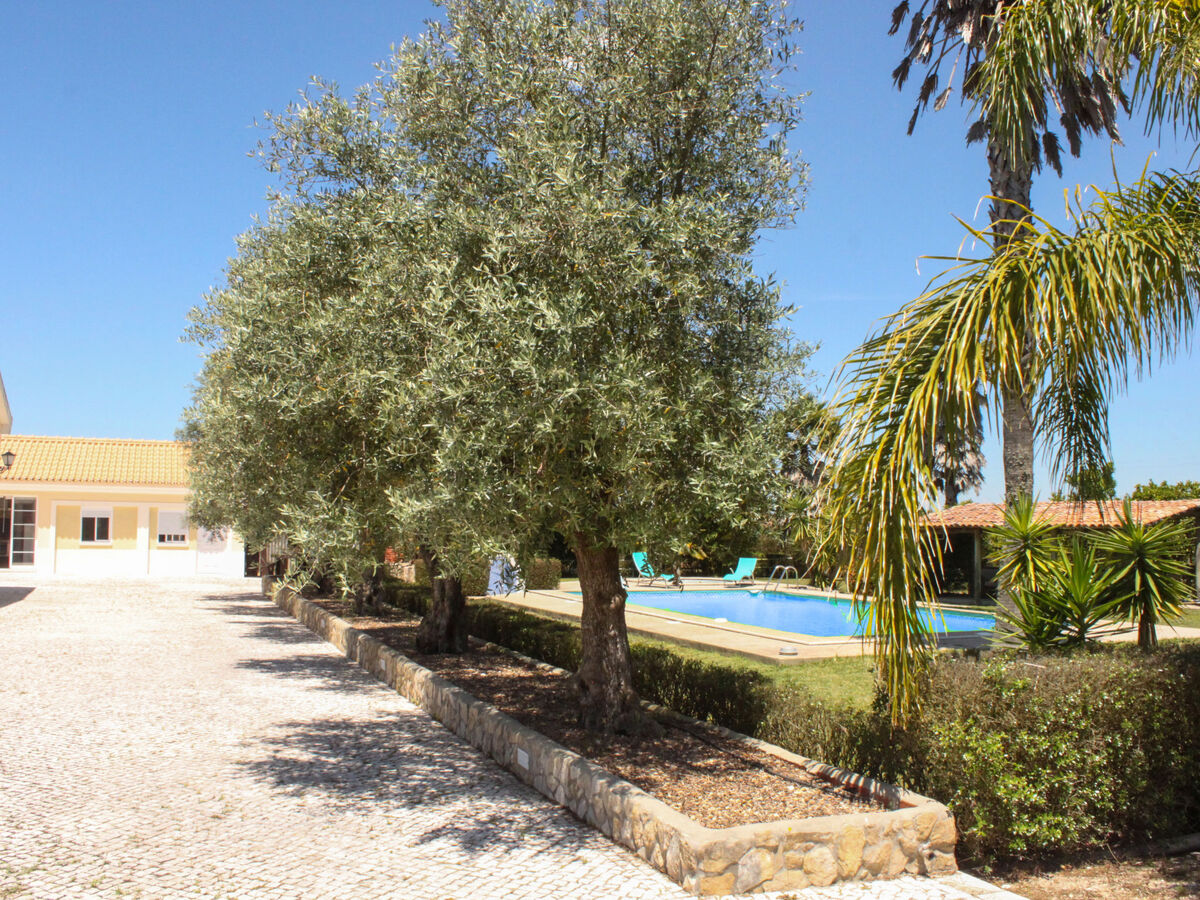 Quinta Dahlia – Maison 6 pers. avec piscine à Pegões - Photo 21