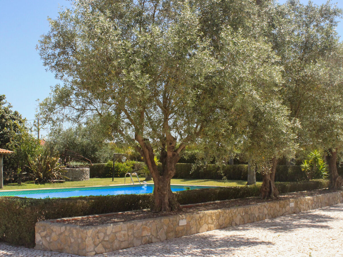 Quinta Dahlia – Maison 6 pers. avec piscine à Pegões - Photo 22