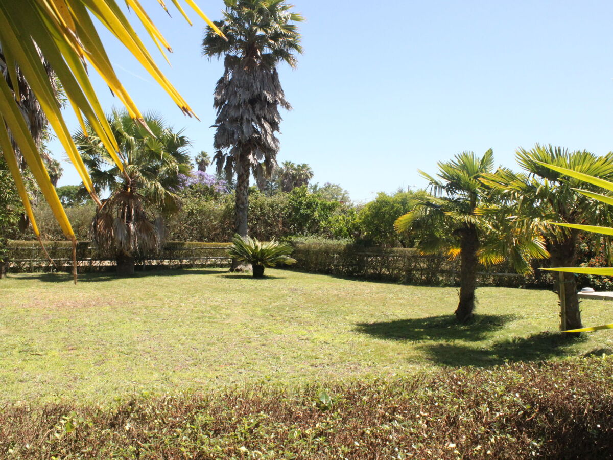 Quinta Dahlia – Maison 6 pers. avec piscine à Pegões - Photo 23