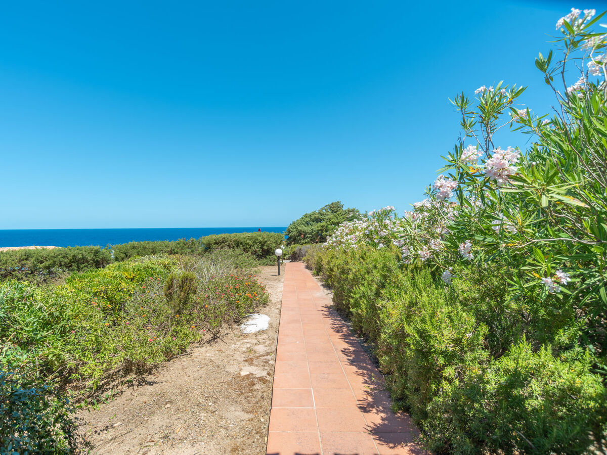 Corbezzolo – Maison 2 chambres vue mer à Costa Paradiso - Photo 21