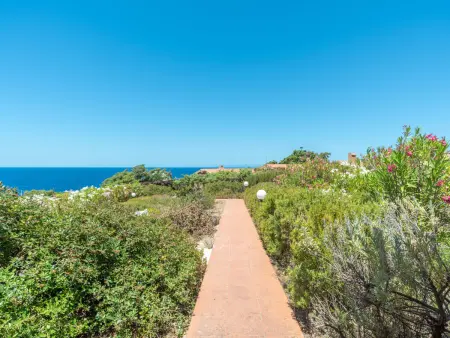 Maison Erica - Costa Paradiso, 300 m de la mer : photo 18