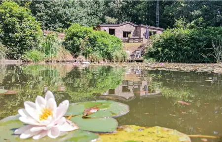't Zaveltje : maison avec kayak au bord d'un étang : photo 8