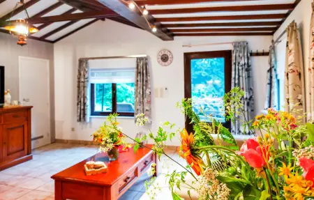 't Zaveltje : maison avec kayak au bord d'un étang : photo 10